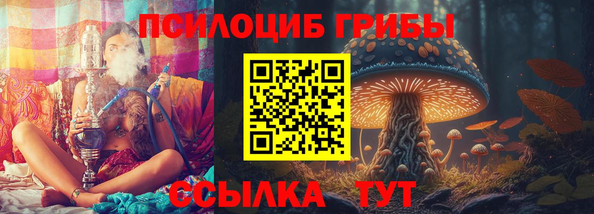 Псилоцибиновые грибы прущие грибы Алейск