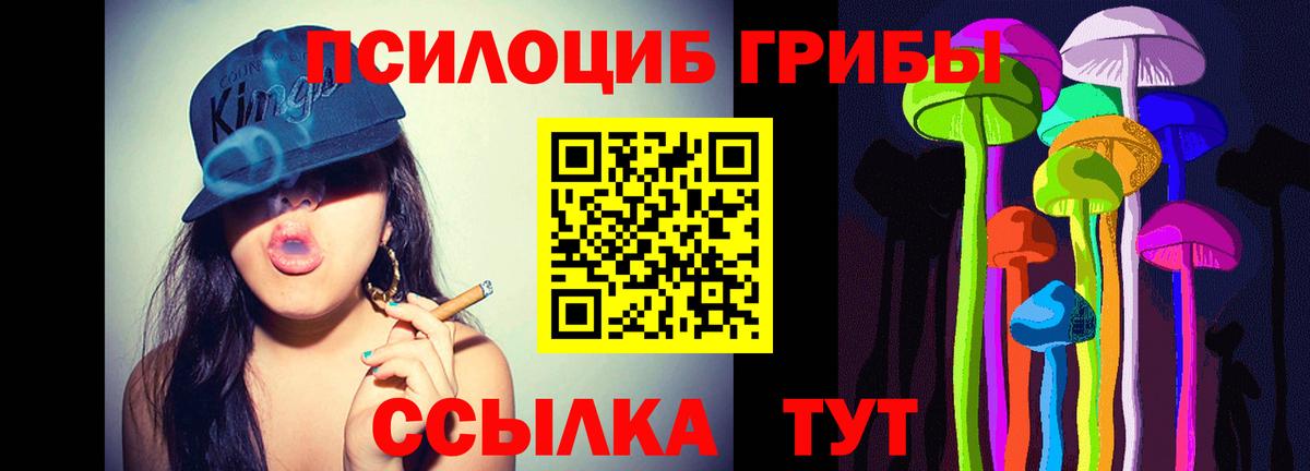Алейск  Галлюциногенные грибы Psilocybe  Вход с VPN 